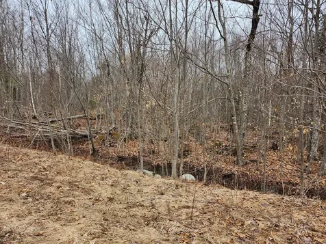 Lot 29-6 Windfall Lane Palmyra ME 04965