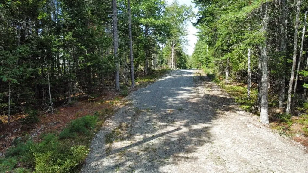 Lot #5 Leonia Road Hancock ME 04640