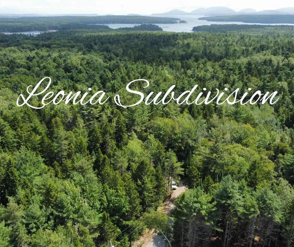 Lot #6 Leonia Road Hancock ME 04640