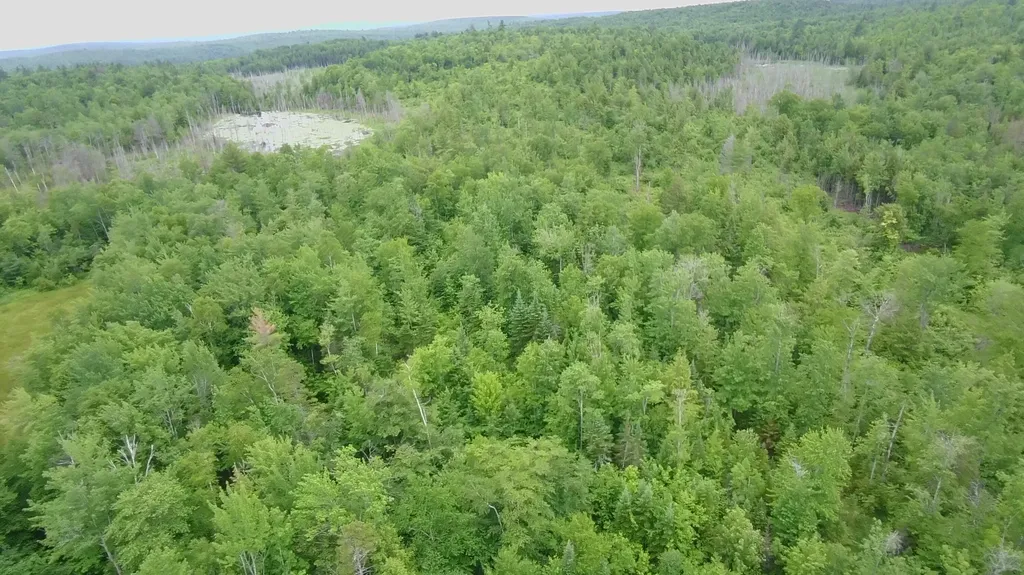 Tbd Trafton Road Parkman ME 04443