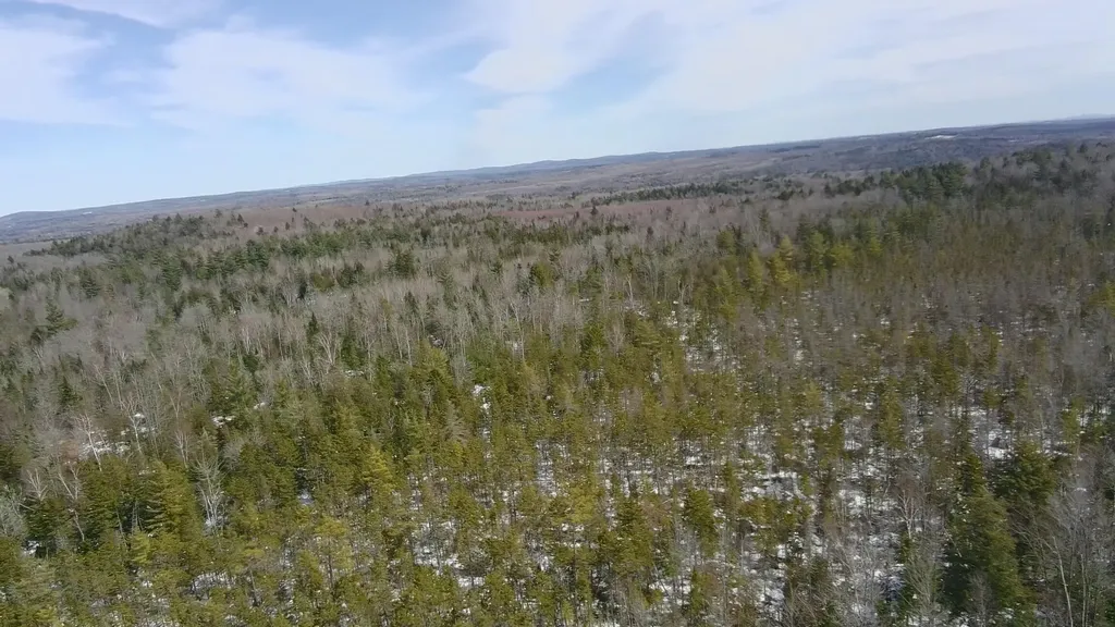 Tbd Trafton Road Parkman ME 04443