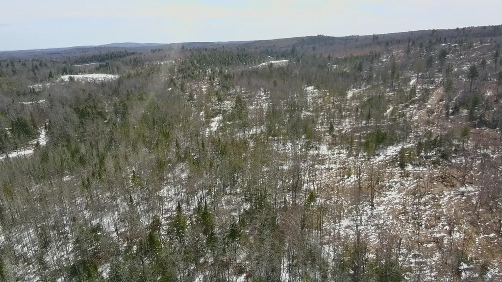 Tbd Trafton Road Parkman ME 04443
