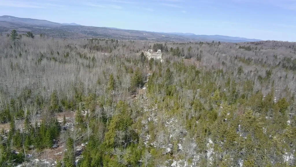Tbd Trafton Road Parkman ME 04443