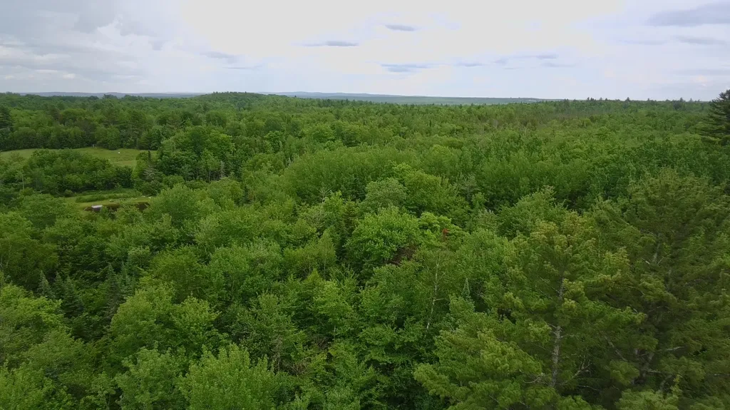 Tbd Trafton Road Parkman ME 04443