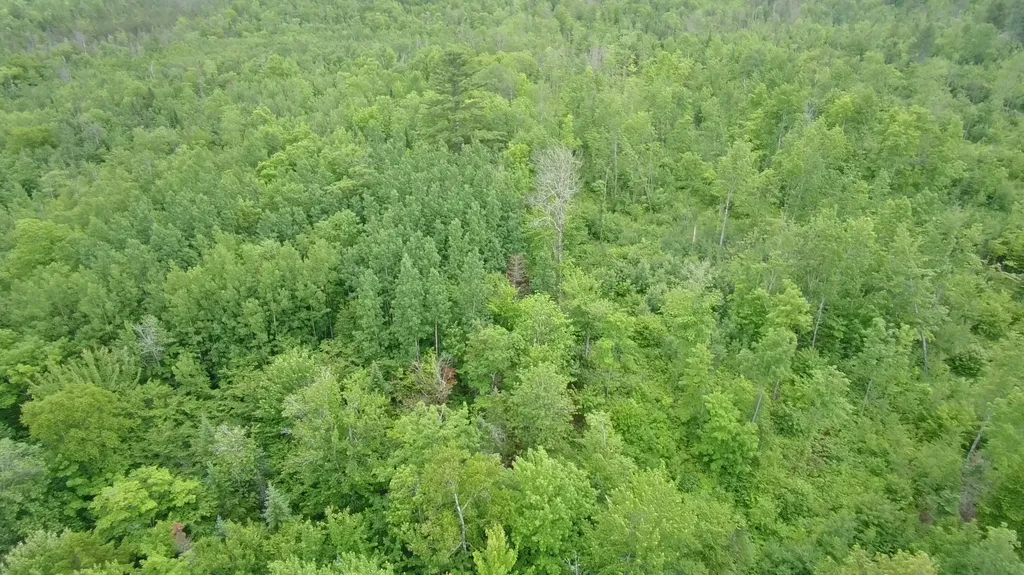 Tbd Trafton Road Parkman ME 04443