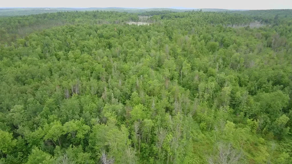 Tbd Trafton Road Parkman ME 04443