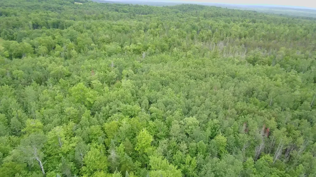 Tbd Trafton Road Parkman ME 04443