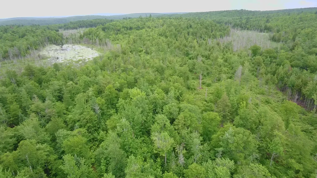 Tbd Trafton Road Parkman ME 04443