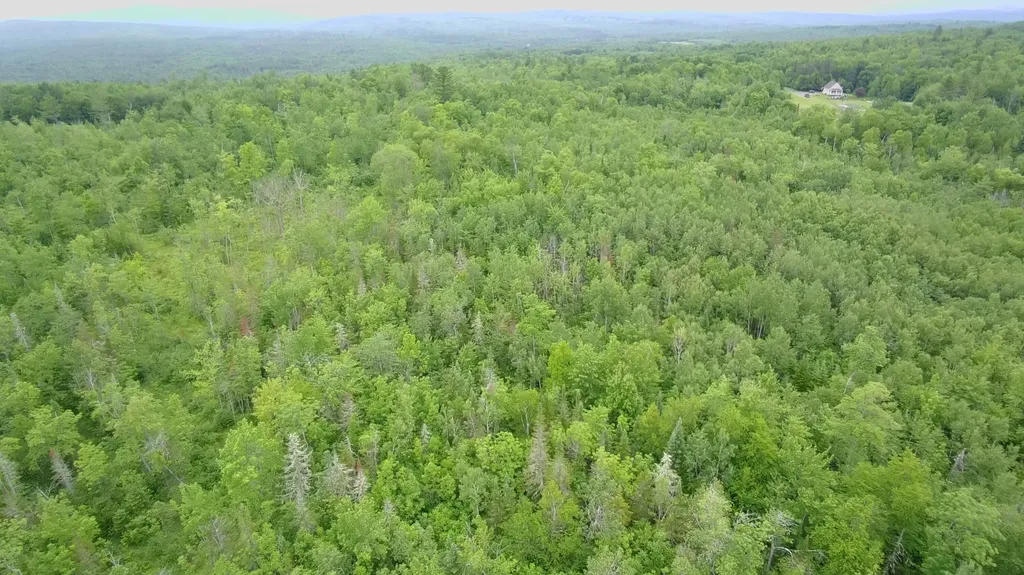 Tbd Trafton Road Parkman ME 04443