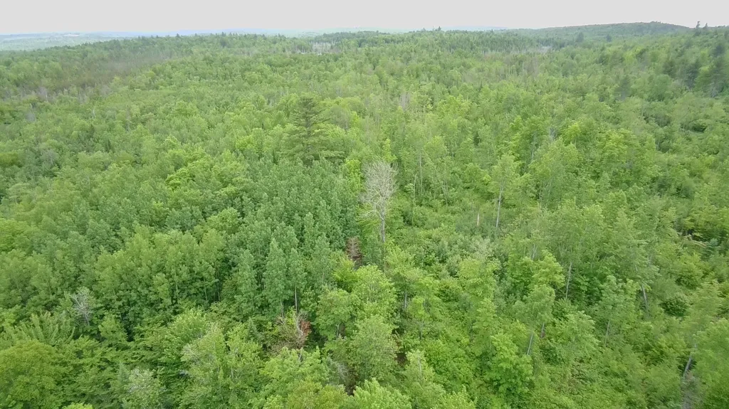 Tbd Trafton Road Parkman ME 04443