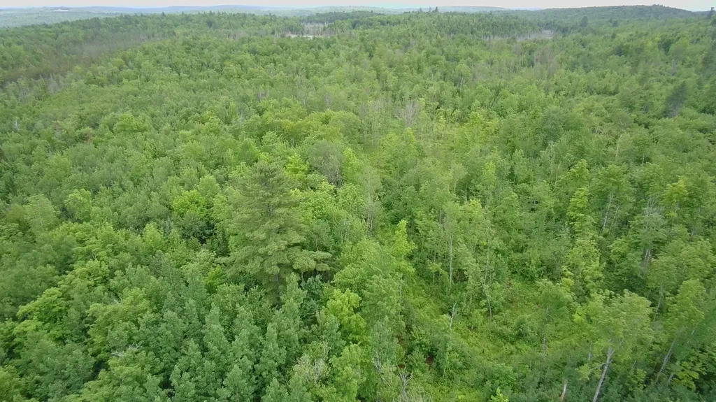 Tbd Trafton Road Parkman ME 04443
