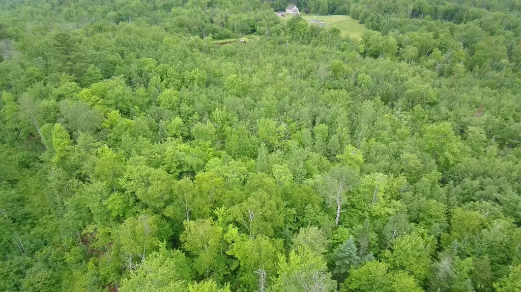Tbd Trafton Road Parkman ME 04443