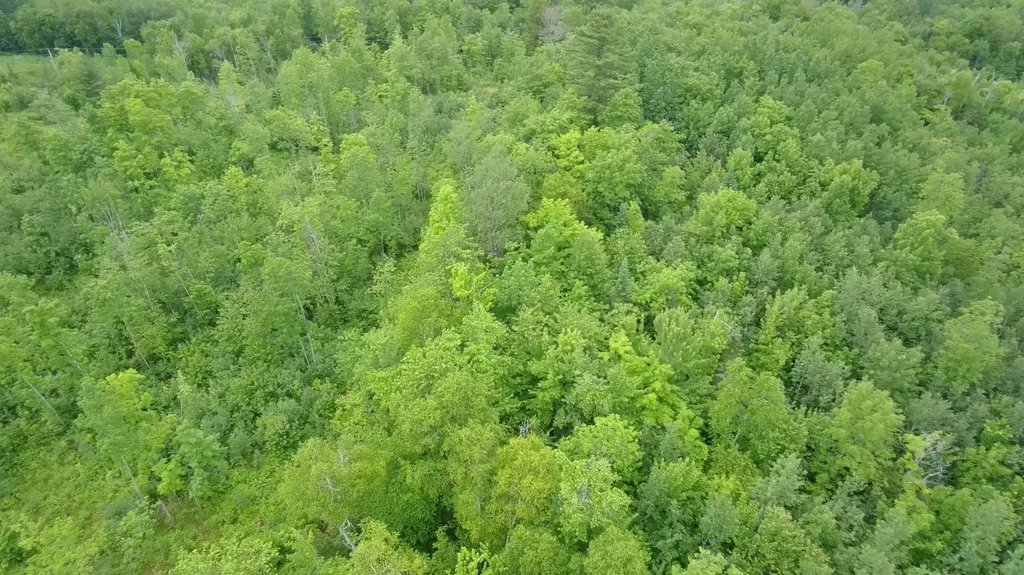 Tbd Trafton Road Parkman ME 04443