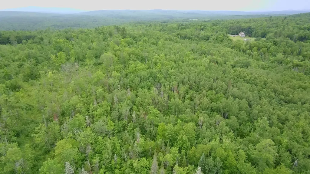 Tbd Trafton Road Parkman ME 04443