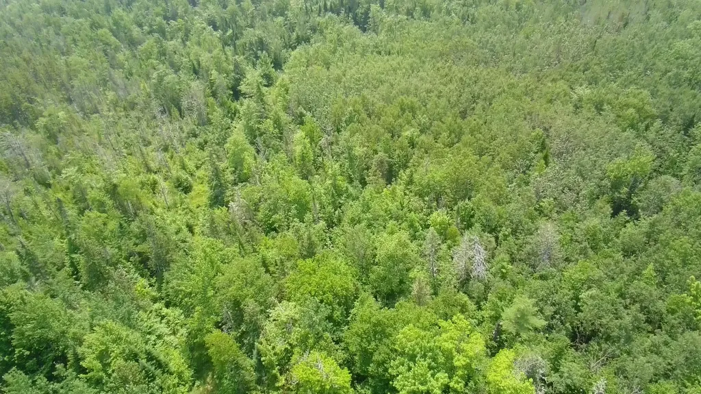 Tbd Trafton Road Parkman ME 04443