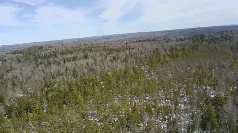 Tbd Trafton Road Parkman ME 04443