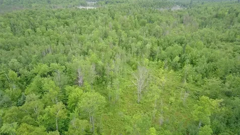 Tbd Trafton Road Parkman ME 04443