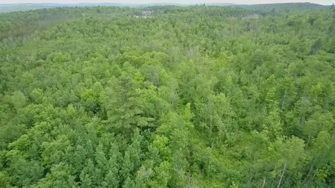 Tbd Trafton Road Parkman ME 04443