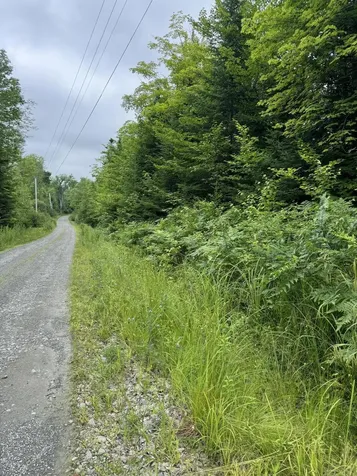 Tbd Trafton Road Parkman ME 04443