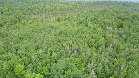 Tbd Trafton Road Parkman ME 04443