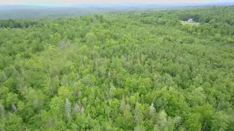 Tbd Trafton Road Parkman ME 04443