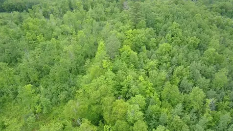 Tbd Trafton Road Parkman ME 04443