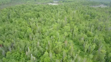 Tbd Trafton Road Parkman ME 04443