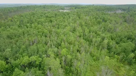 Tbd Trafton Road Parkman ME 04443