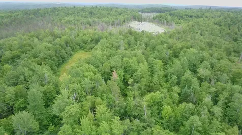 Tbd Trafton Road Parkman ME 04443