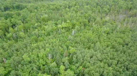 Tbd Trafton Road Parkman ME 04443