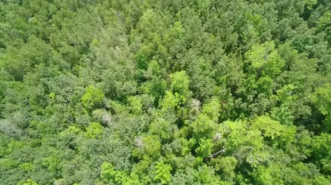 Tbd Trafton Road Parkman ME 04443
