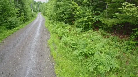 Tbd Trafton Road Parkman ME 04443