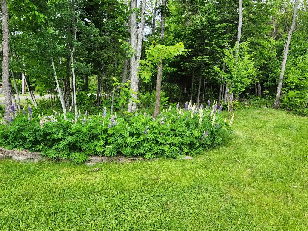 36 Deer Run Drive Jackman ME 04945