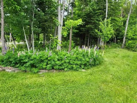 36 Deer Run Drive Jackman ME 04945