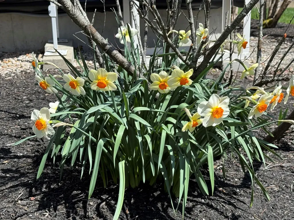189 Mills Road Kennebunkport ME 04046
