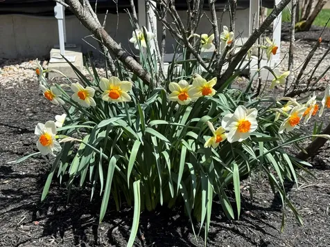 189 Mills Road Kennebunkport ME 04046
