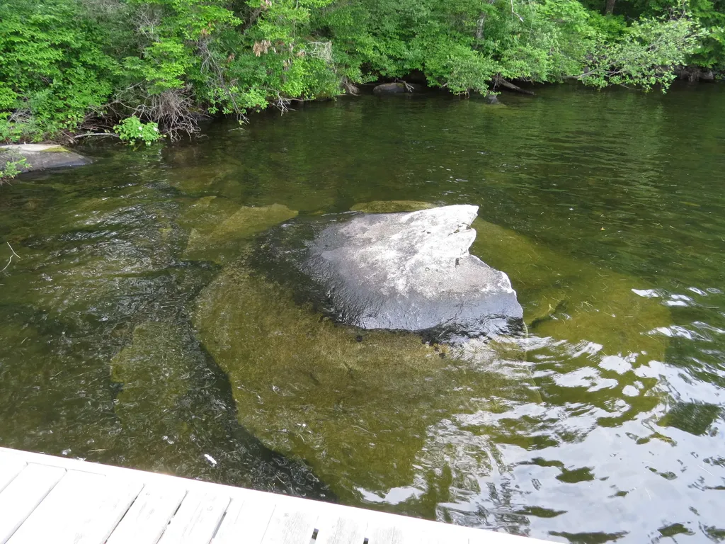 212 Peninsula Drive Rome ME 04963