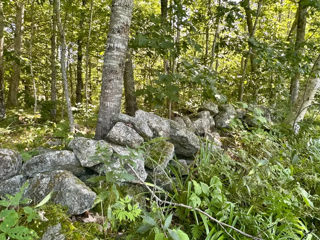 114 George Road Prospect ME 04981
