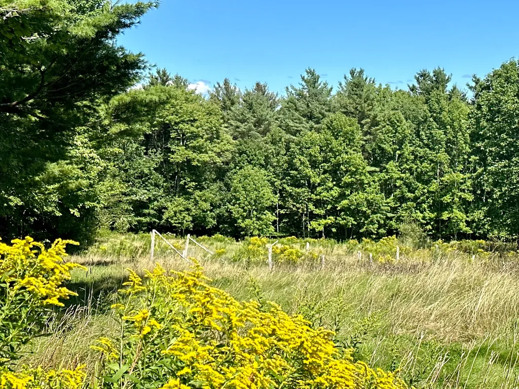 114 George Road Prospect ME 04981