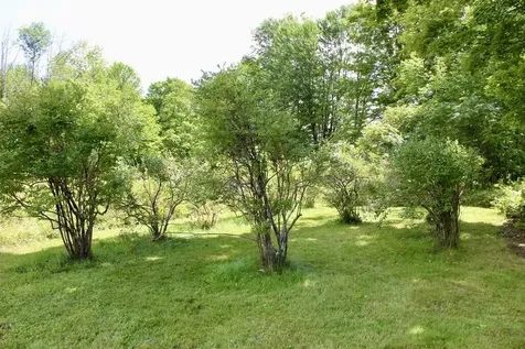 82 Hicks Road Newfield ME 04095