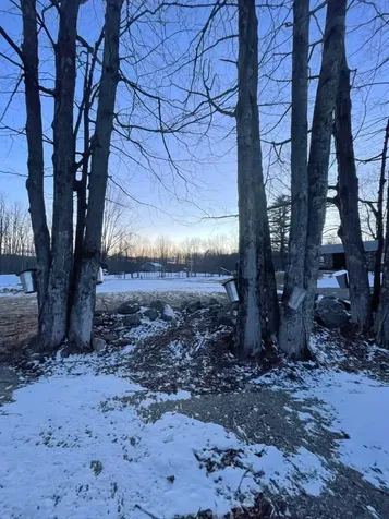 82 Hicks Road Newfield ME 04095