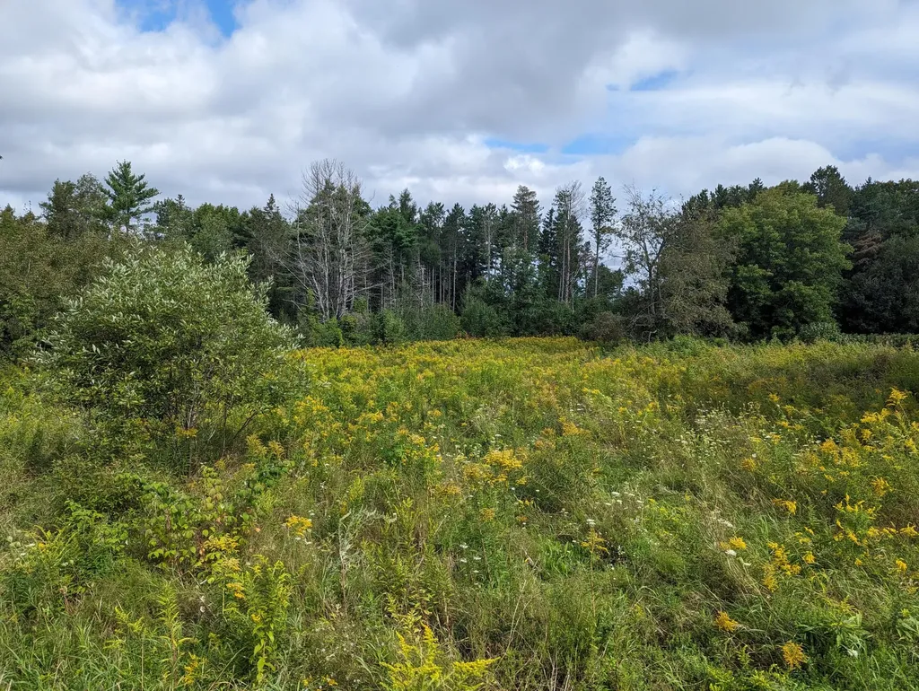 Tbd Western Avenue Hampden ME 04444