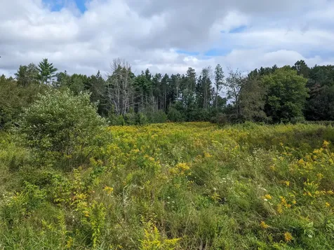 Tbd Western Avenue Hampden ME 04444