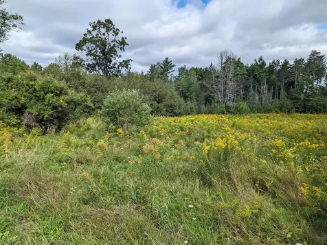 Tbd Western Avenue Hampden ME 04444