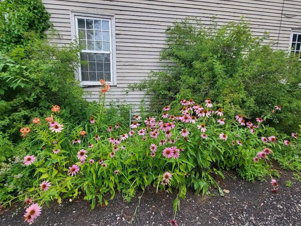 156 Wilton Road Farmington ME 04938