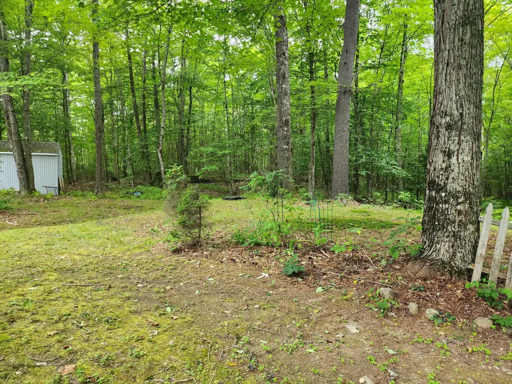 772 Morrill Pond Road Hartland ME 04943