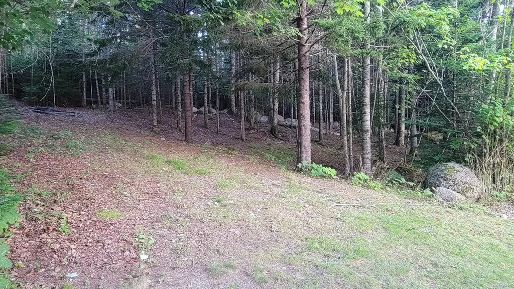 77 Dolly Head Road Steuben ME 04680