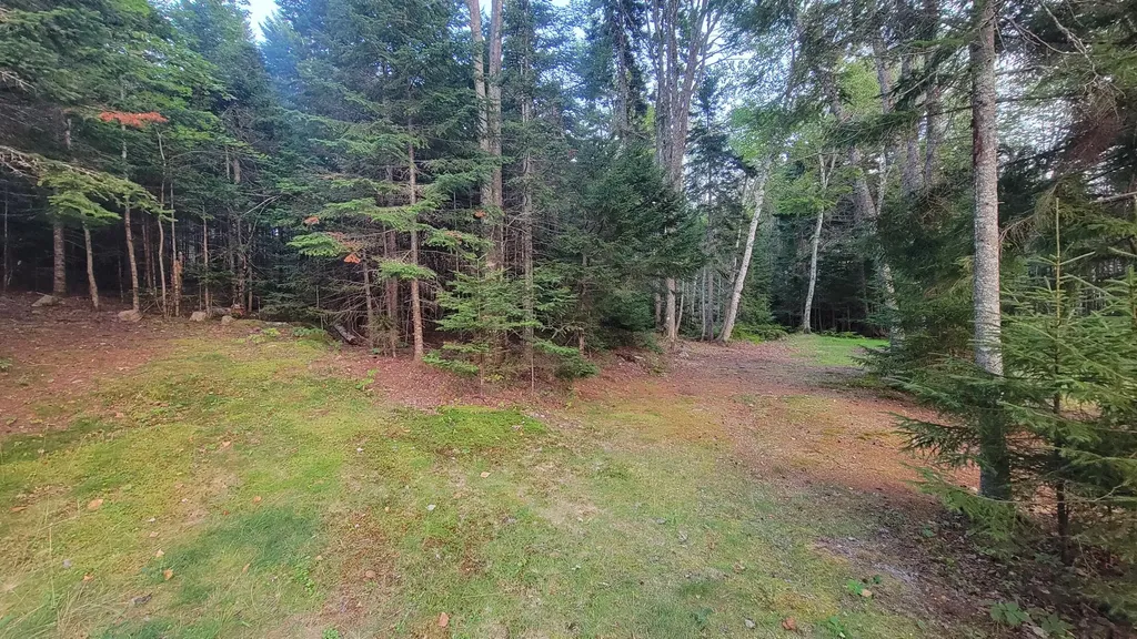 77 Dolly Head Road Steuben ME 04680