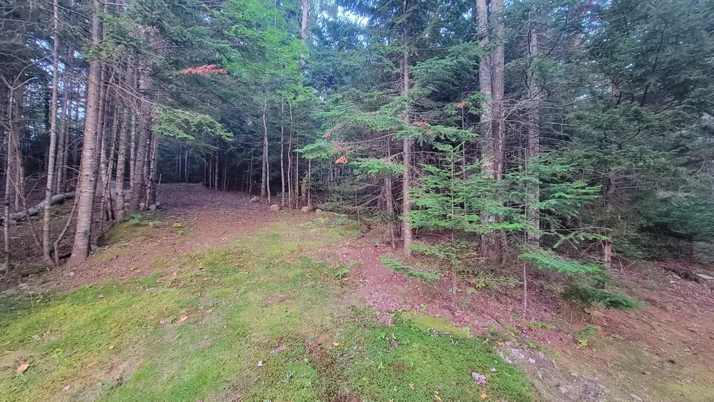 77 Dolly Head Road Steuben ME 04680