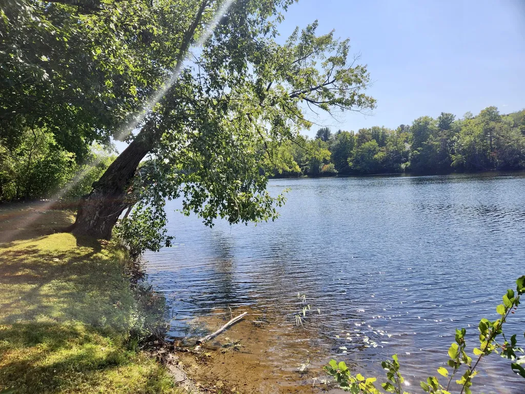 12 University Place Orono ME 04473